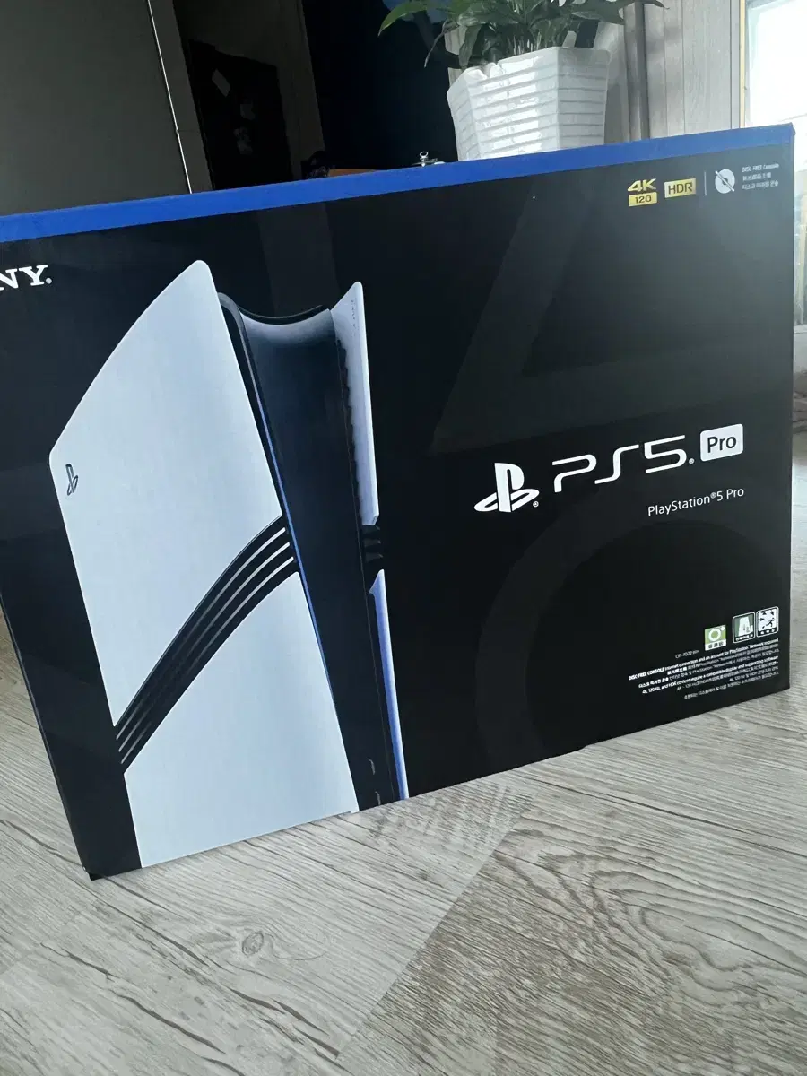 Ps5pro